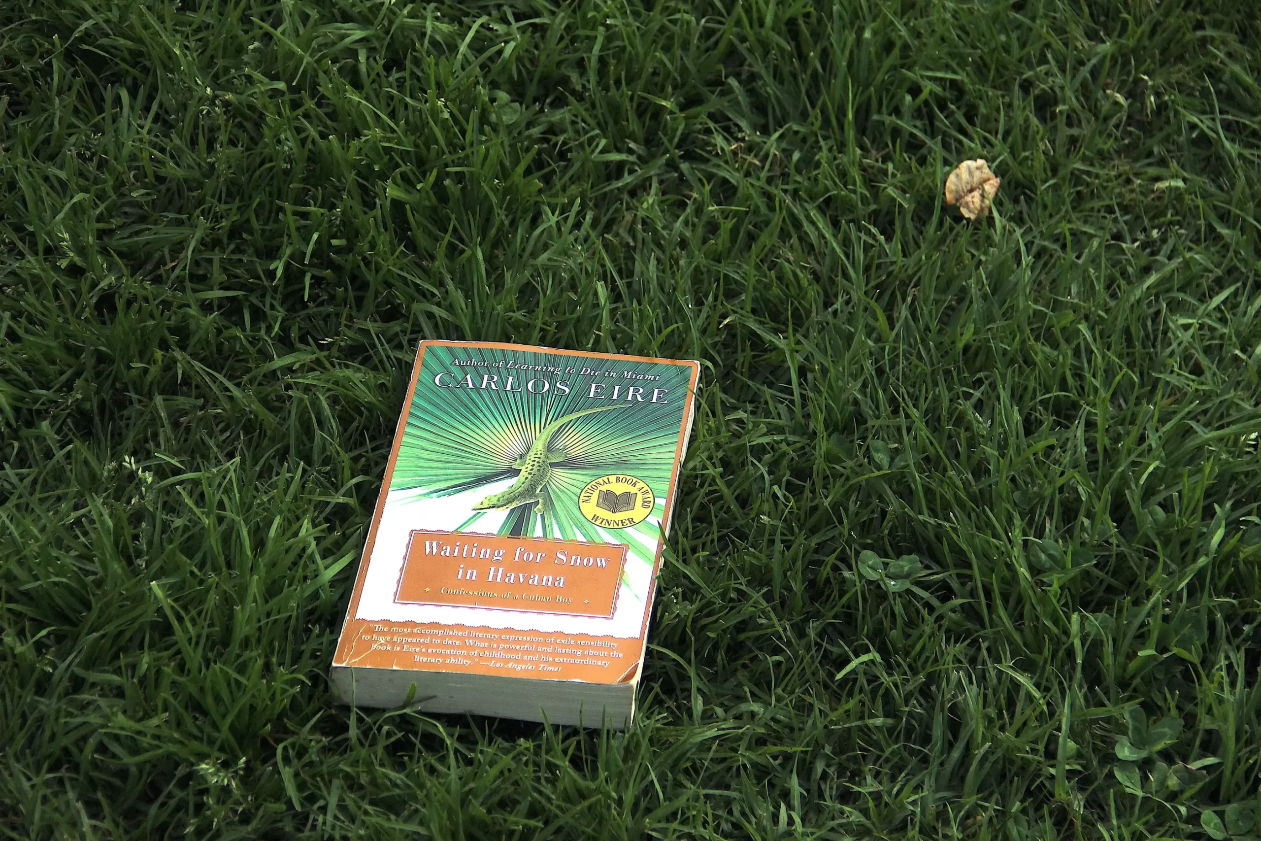 waiting for now in havana paperback book on grass