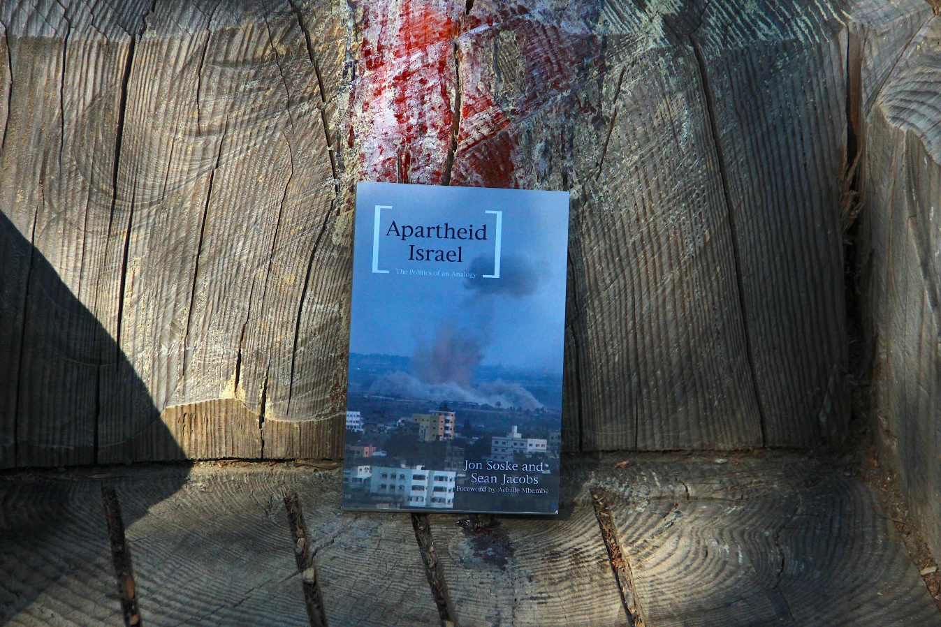apartheid israel paperback book on wooden bench