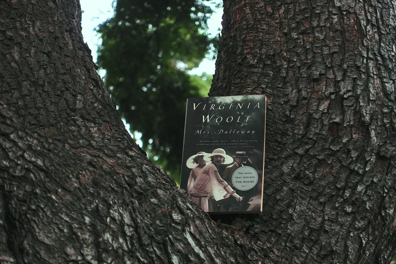 mrs dalloway paperback book between tree branches