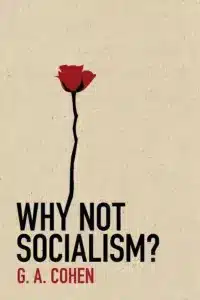Why Not Socialism?, a Paperback Book by GA Cohen
