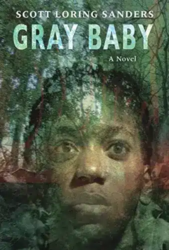 hardcover book cover for Grey Baby by Scott Loring Sanders
