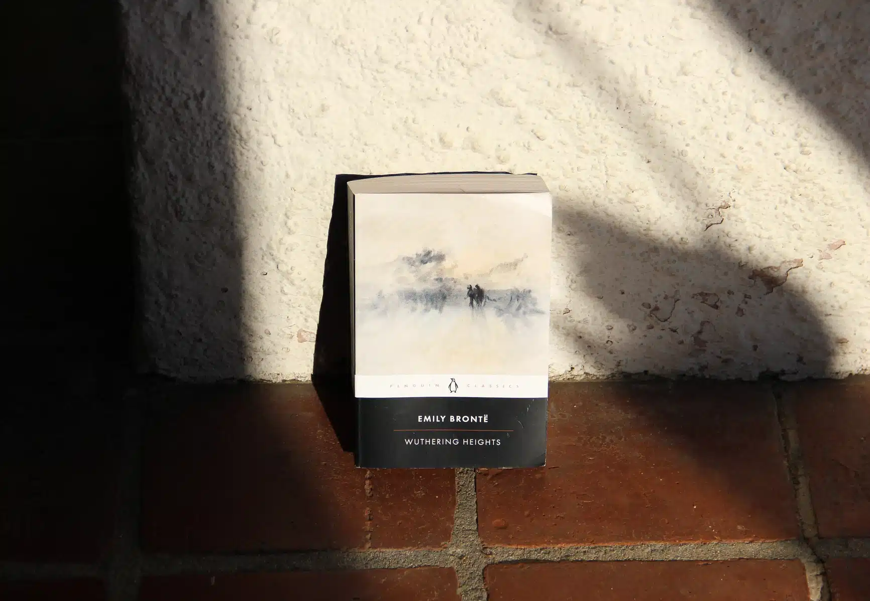 Wuthering Heights, a Paperback Novel by Emily Bronte