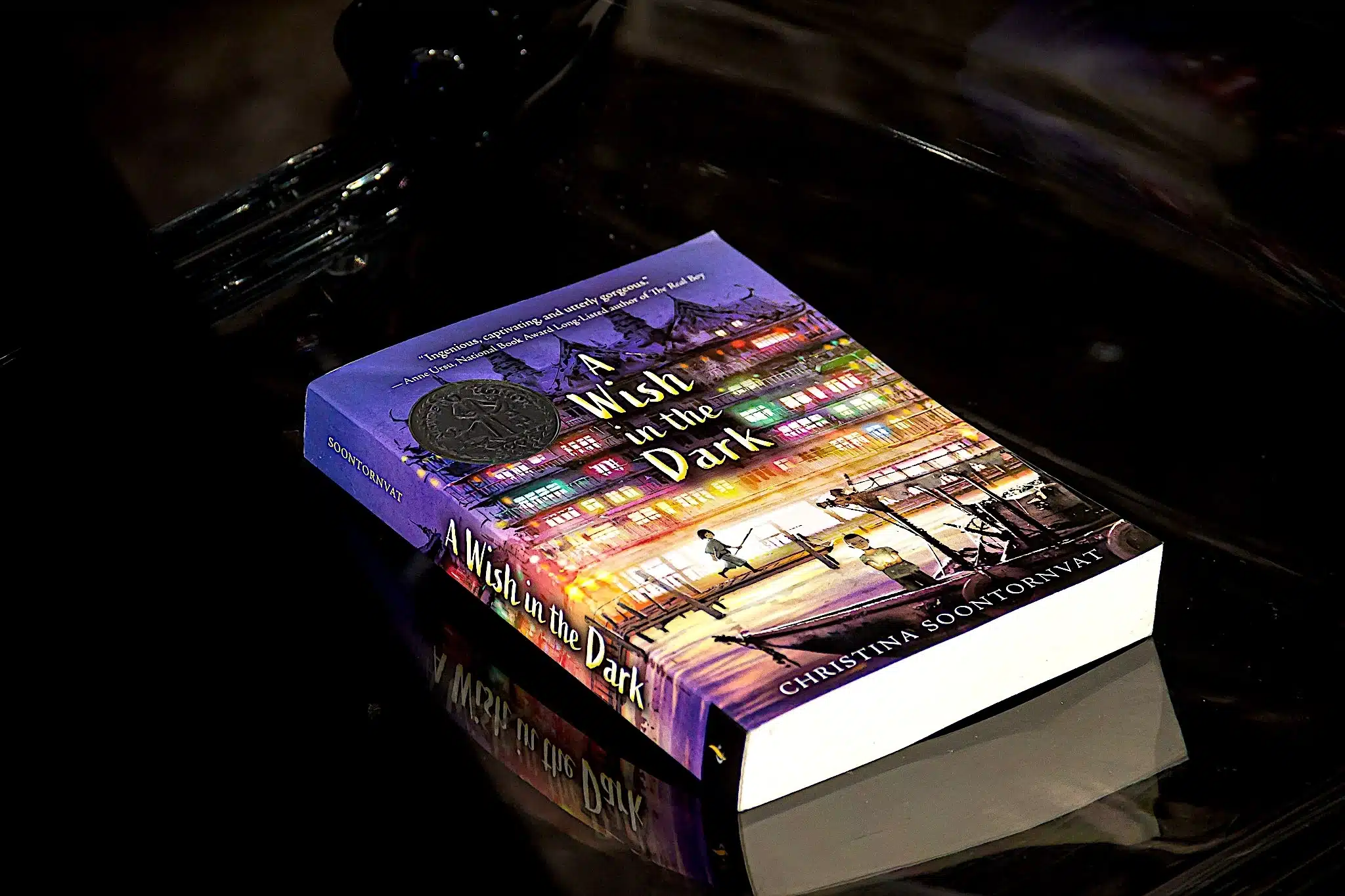 A Wish in the Dark, a Paperback Novel by Christina Soontornvat