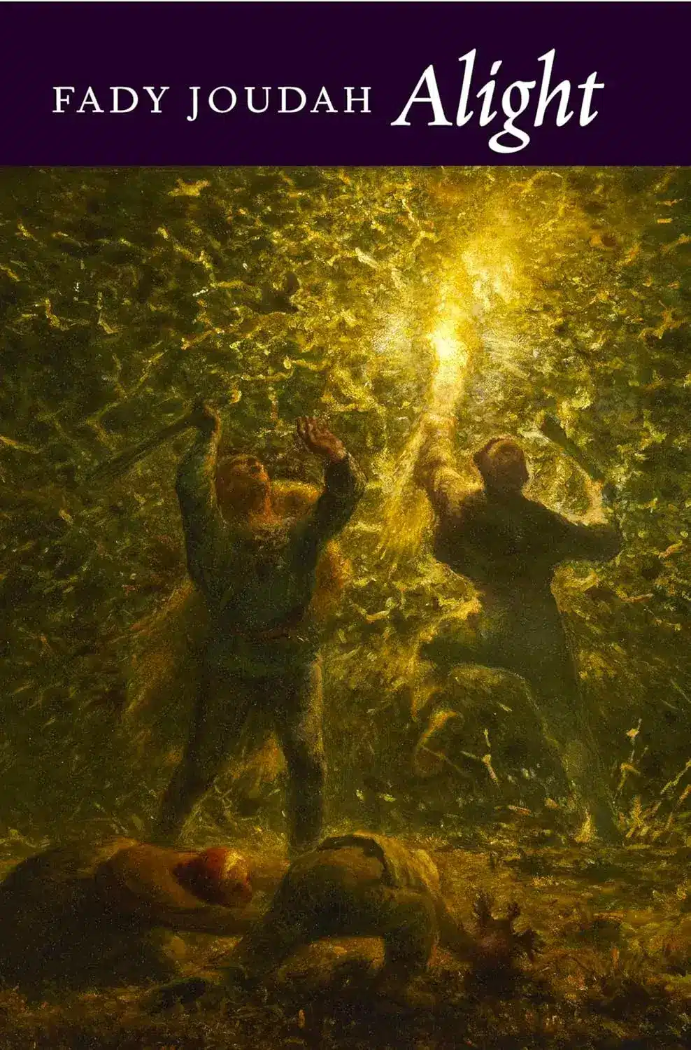 Alight, a Paperback Poetry Book by Fady Joudah