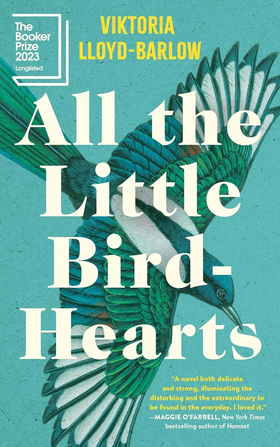 All the Little Bird-Hearts, a Paperback Novel by Viktoria Lloyd-Barlow