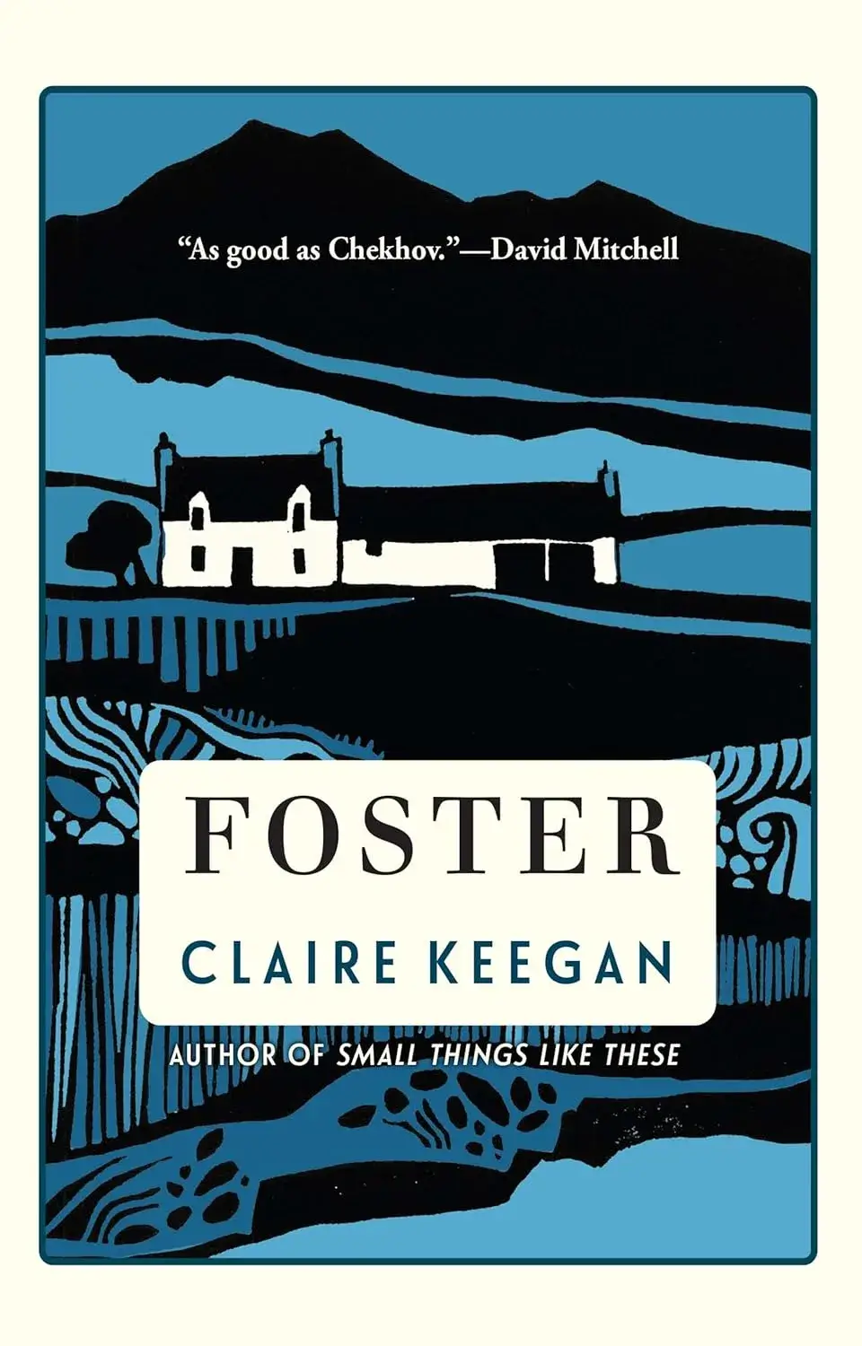 Foster, a Hardcover Novel by Claire Keegan
