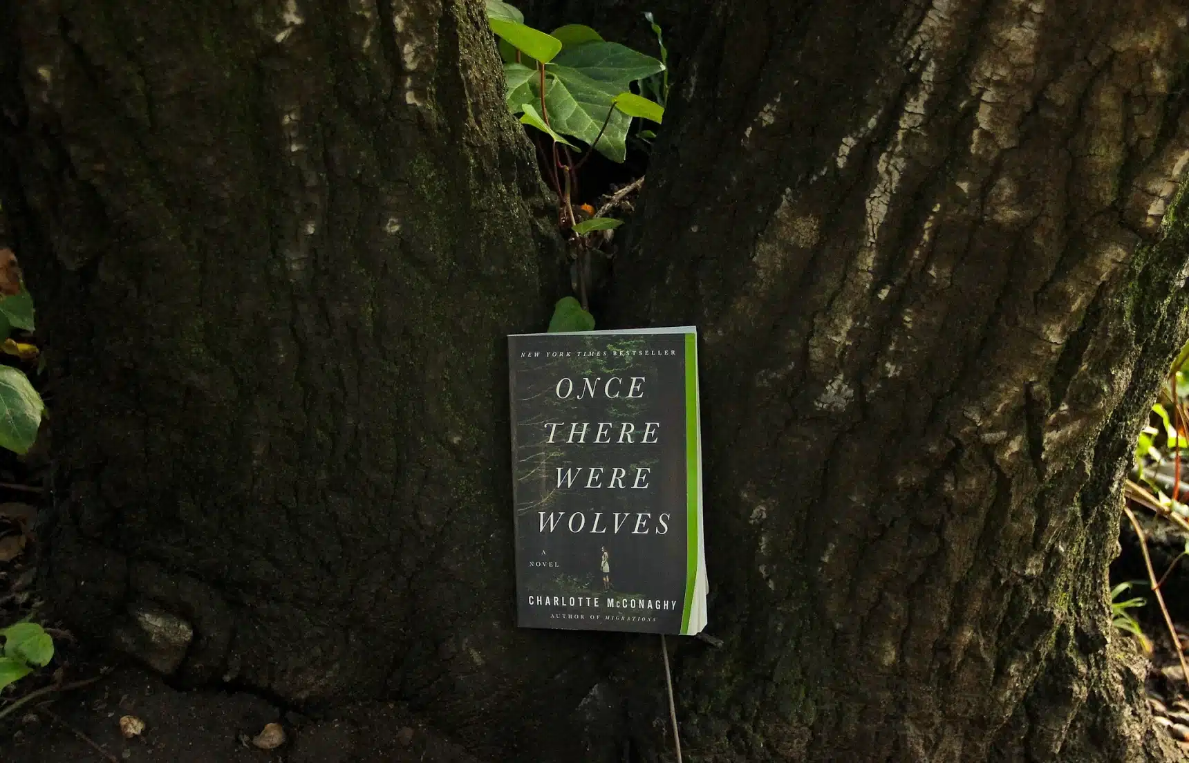 Once There Were Wolves, a Paperback Novel by Charlotte McConaghy