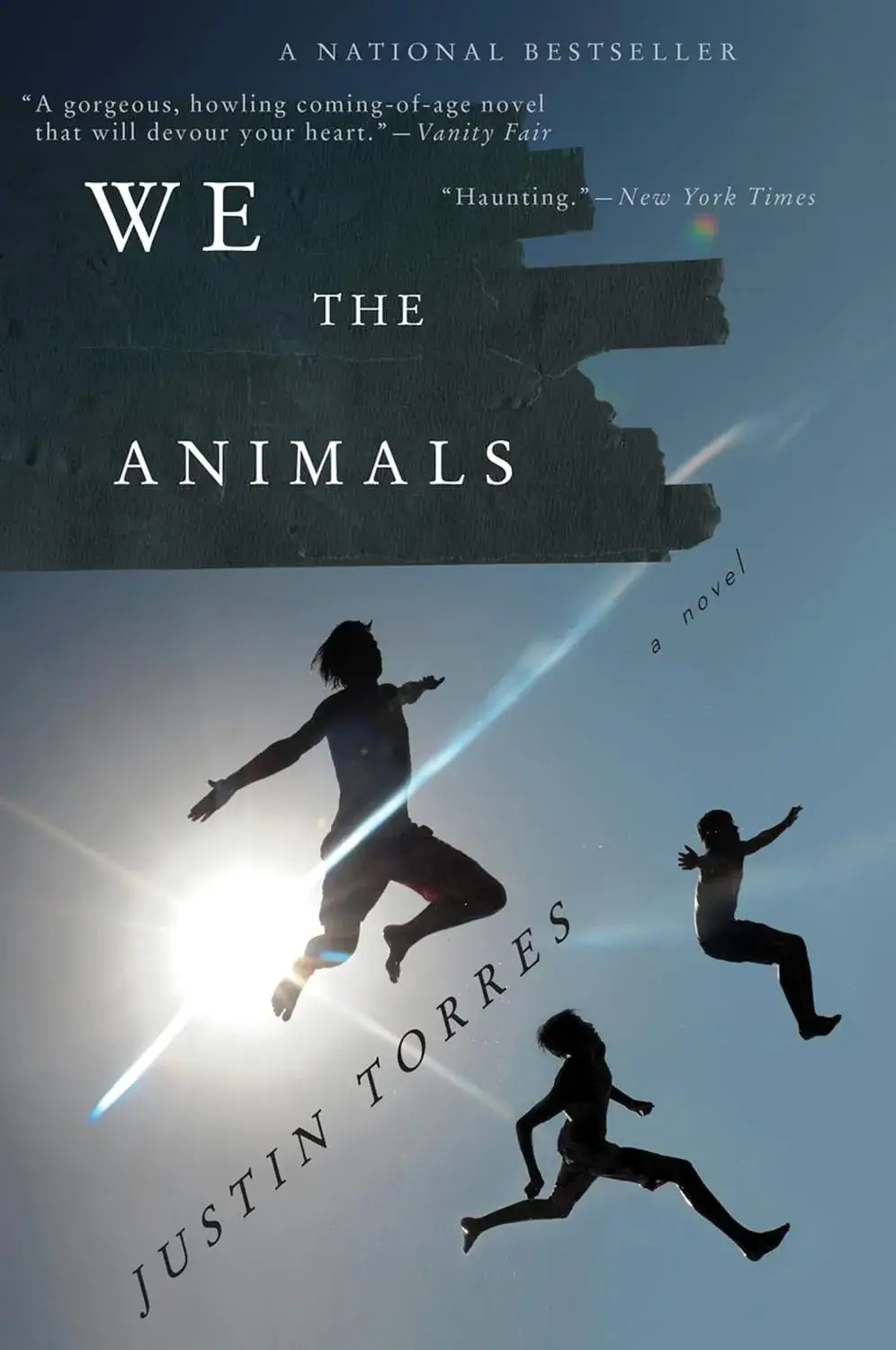 We the Animals, a Paperback Novel by Justin Torres