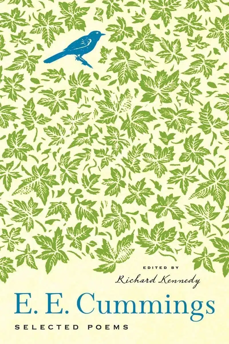 Selected Poems by EE Cummings, a Paperback Book