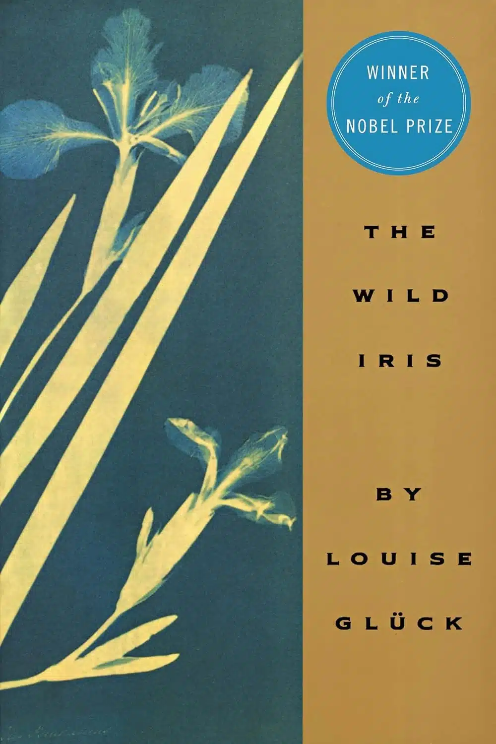 The Wild Iris by Louise Gluck, a Paperback Book