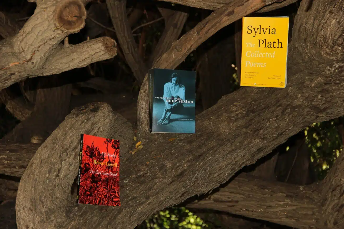 Confessional Poetry Books
