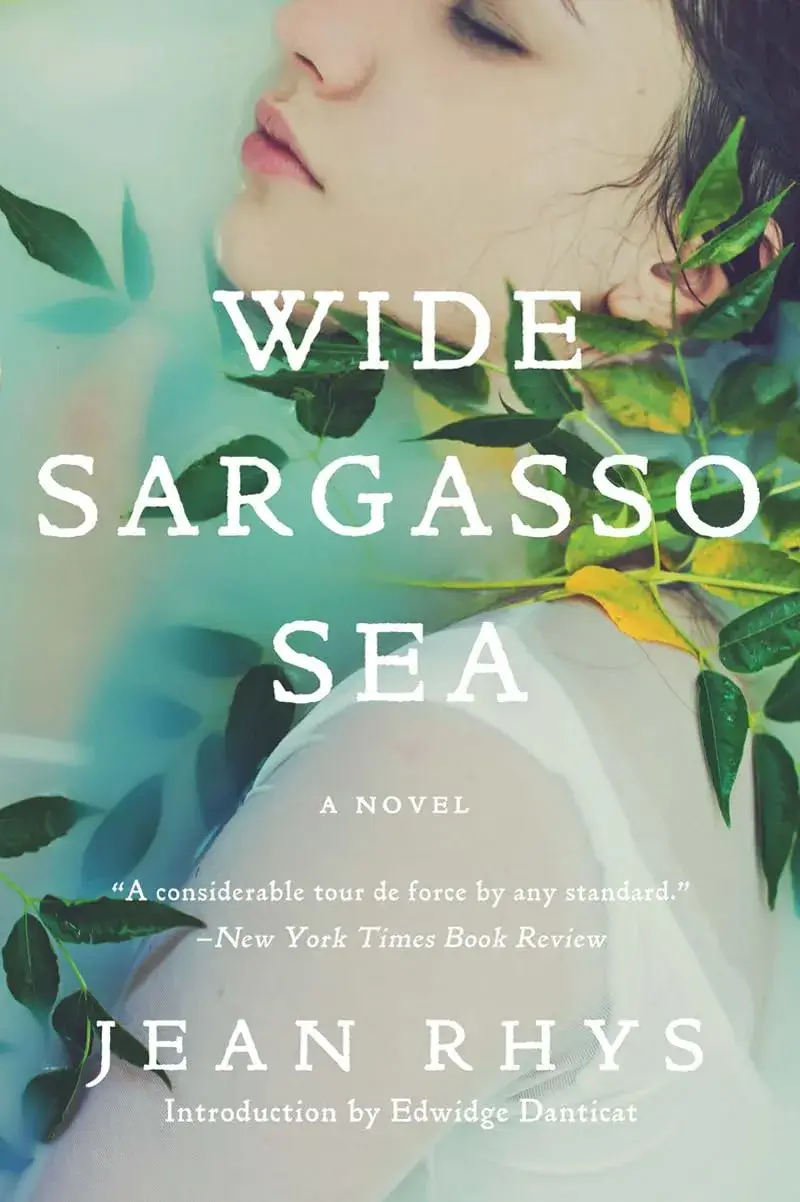 Wide Sargasso Sea, a Paperback Novel by Jean Rhys