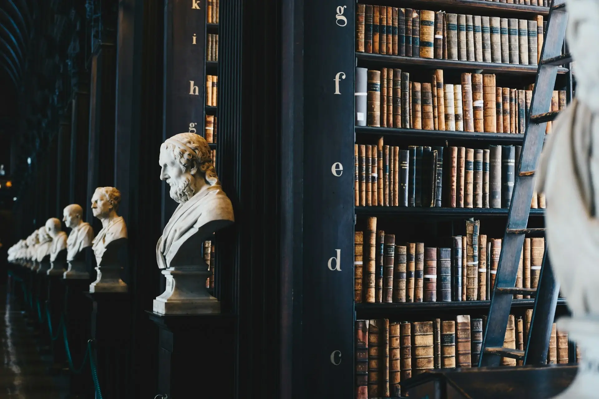 Rows of Book Shelves in a Legal Library