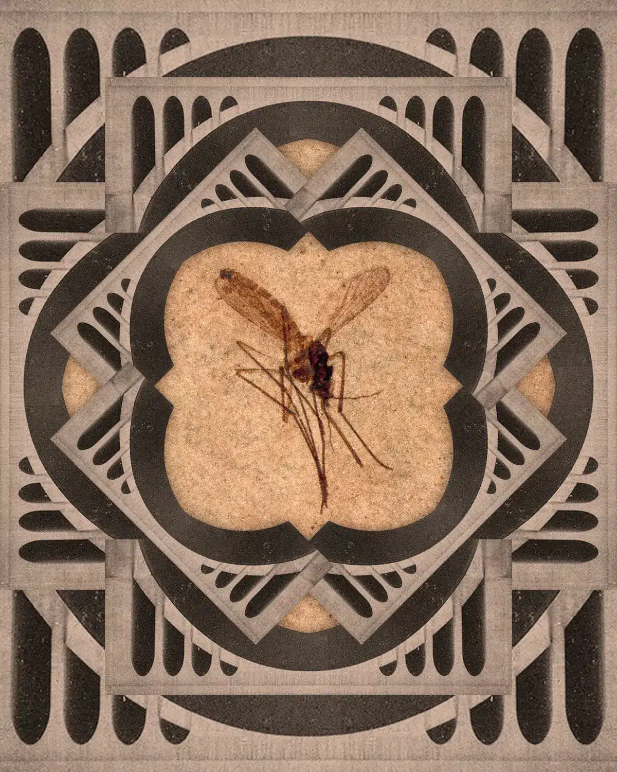 A Collage of a Fossilized Mosquito Surrounded by a Web of Bridges