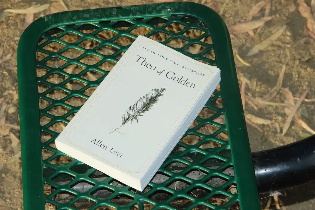 Theo of Golden, a Paperback Novel by Allen Levi