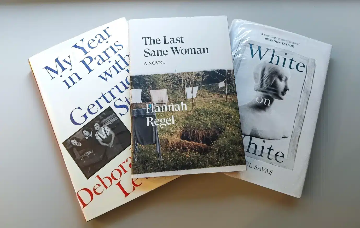 Three Literary Fiction Books on a Table
