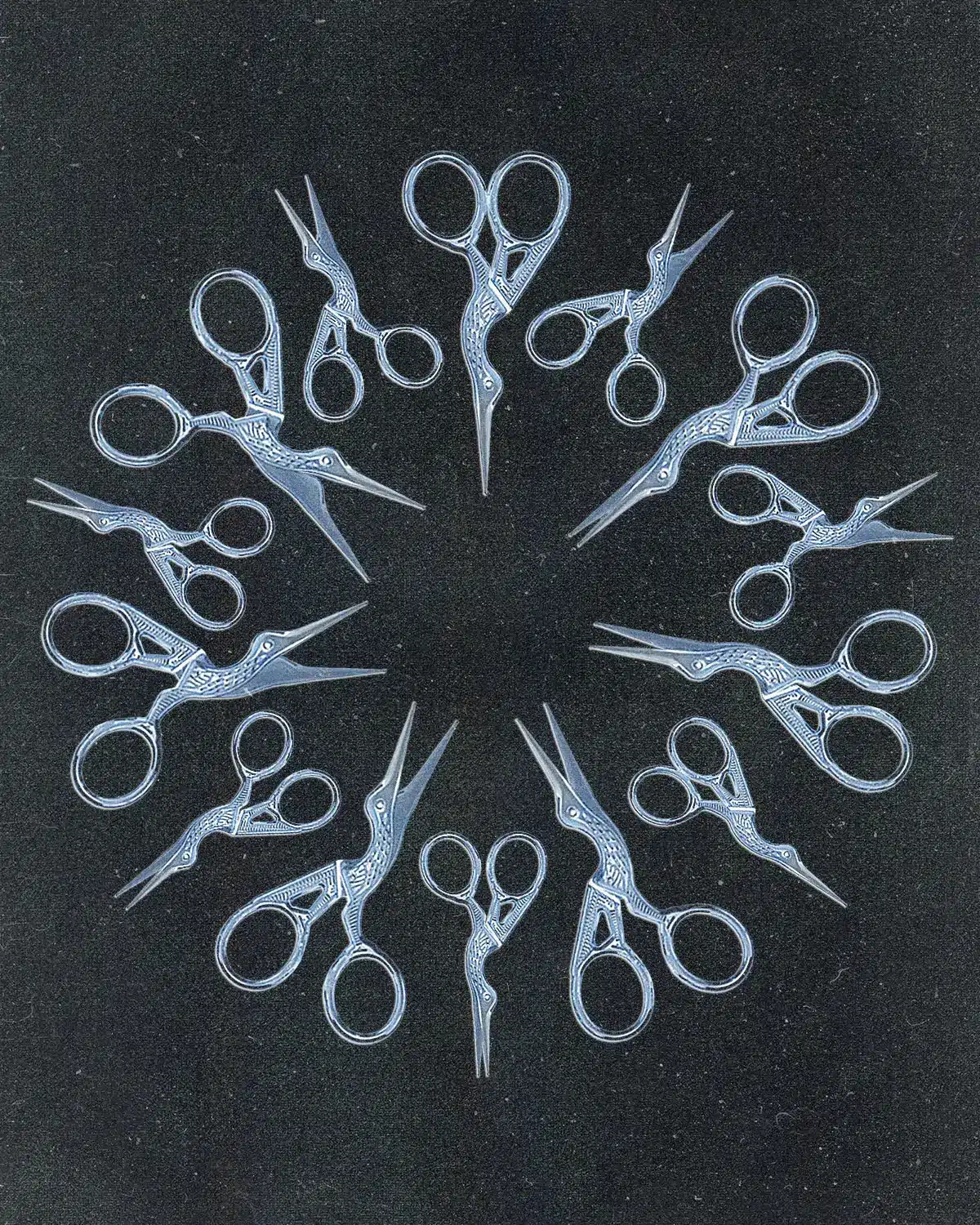 X Ray Collage of Bird Shaped Scissors in a Ring